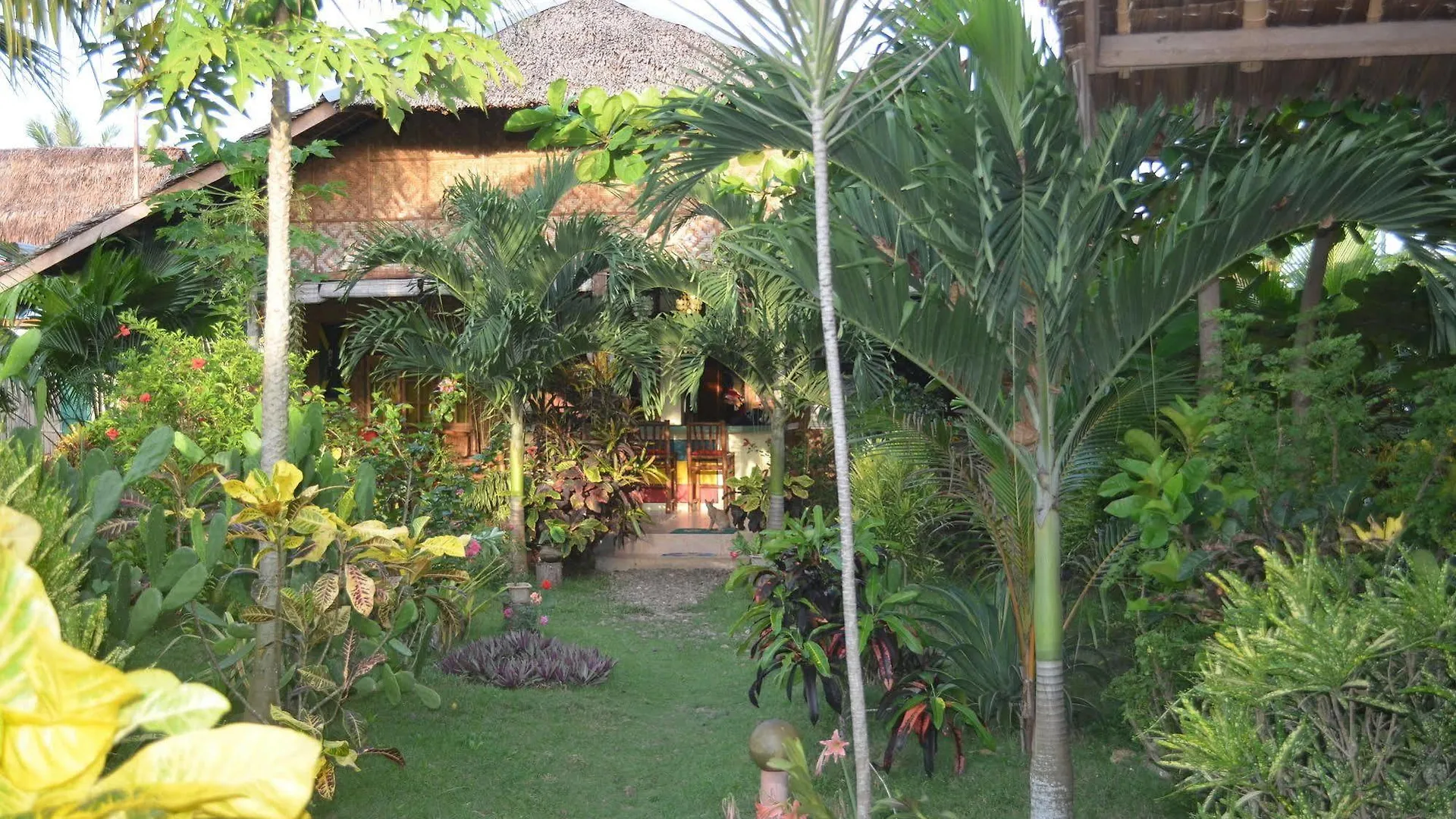 Reggae Guesthouse Panglao Philippines